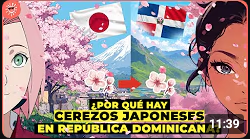 Sacura en la Dominicana