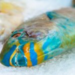LA ARENA BLANCA EN R.D. ES: ¡CACA DE PECES! | El curioso origen de la arena de Bahía de las Águilas
