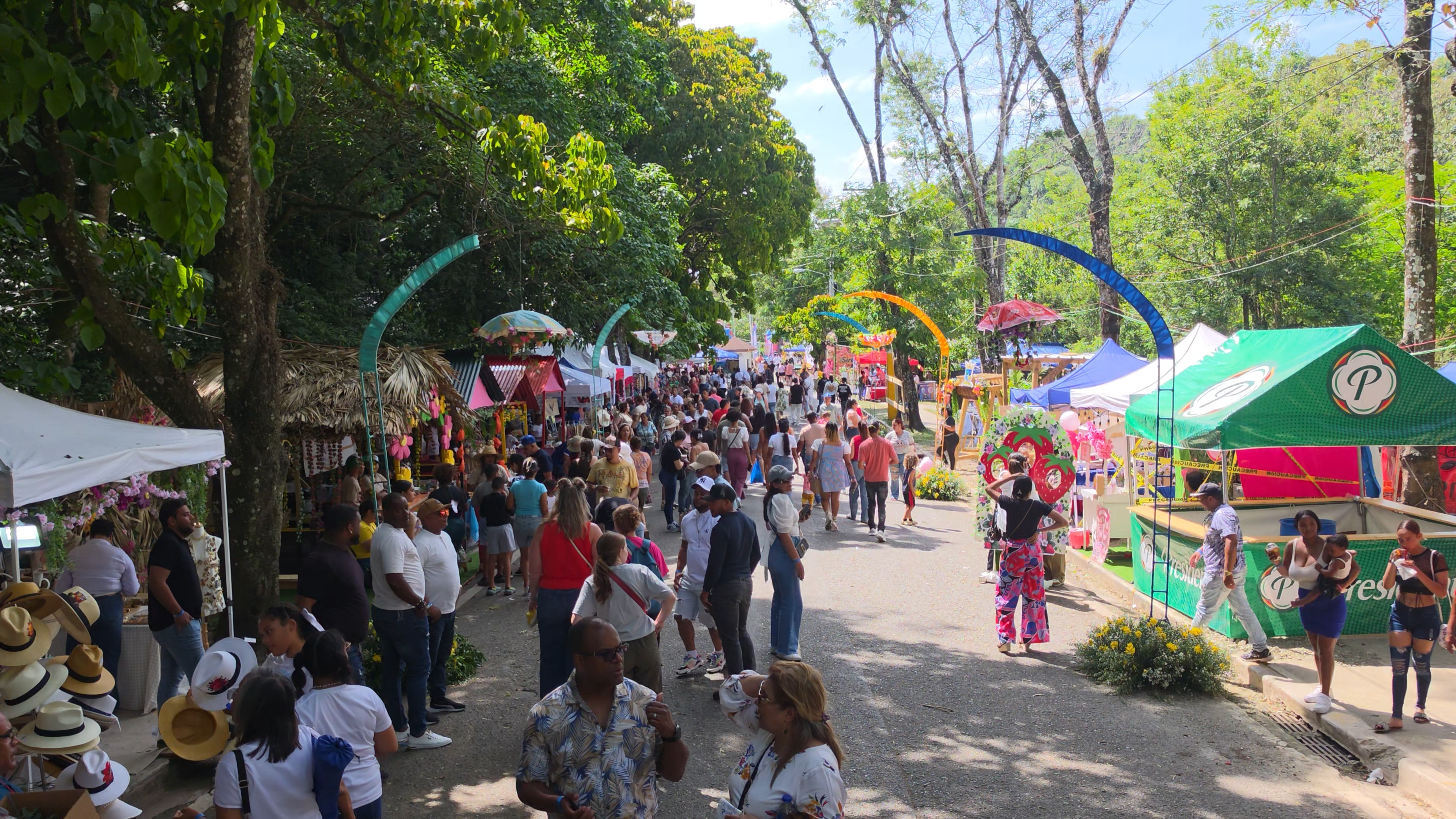 El Festival de las Flores de Jarabacoa: 15 Ediciones de un Sueño Hecho Realidad