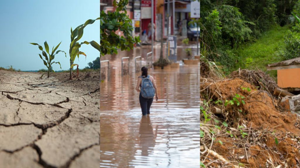 Squia -inundacion - ifobae