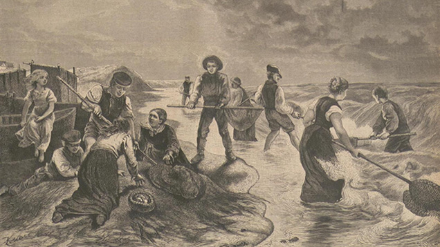 Pescando Ambar